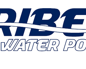 Tribes WPC Logo