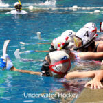 Underwater Hockey Tournament Item ID: 1044602905